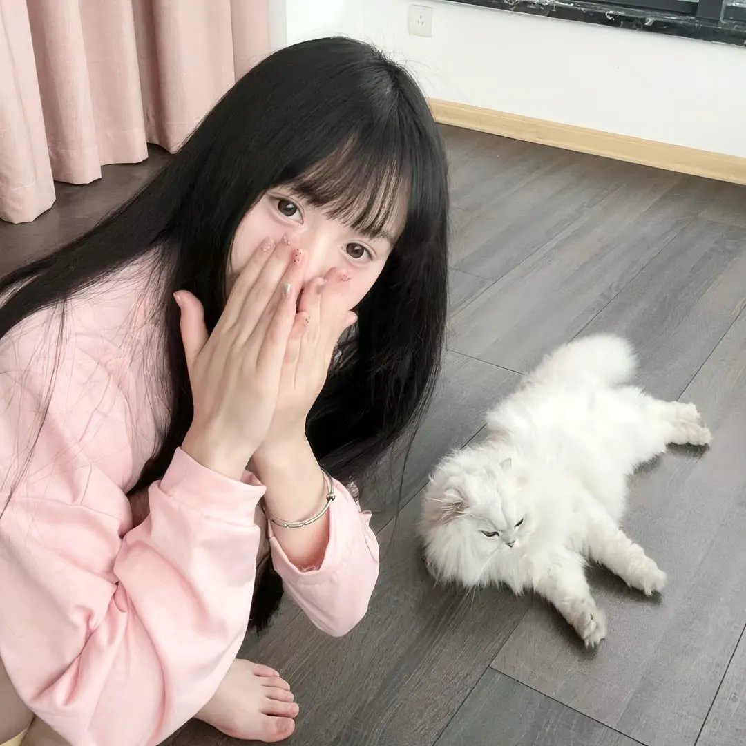 悬案密码1：笼里的女人国语